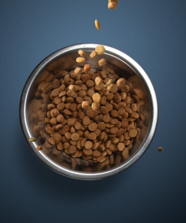 bowl_food_2