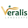 Veralis Logo